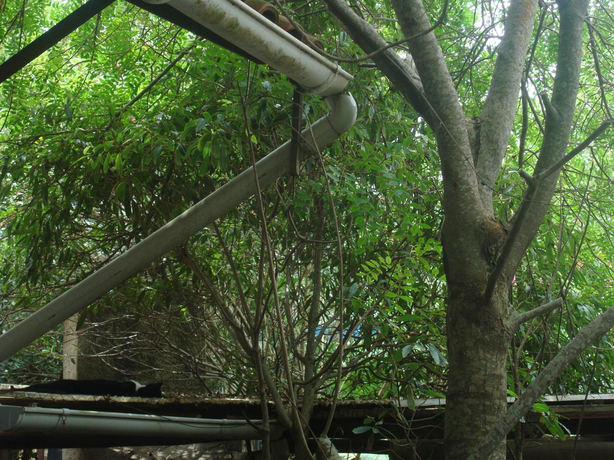 Cabanas Aguamarina ปุนตาเดลดีอาโบล ภายนอก รูปภาพ